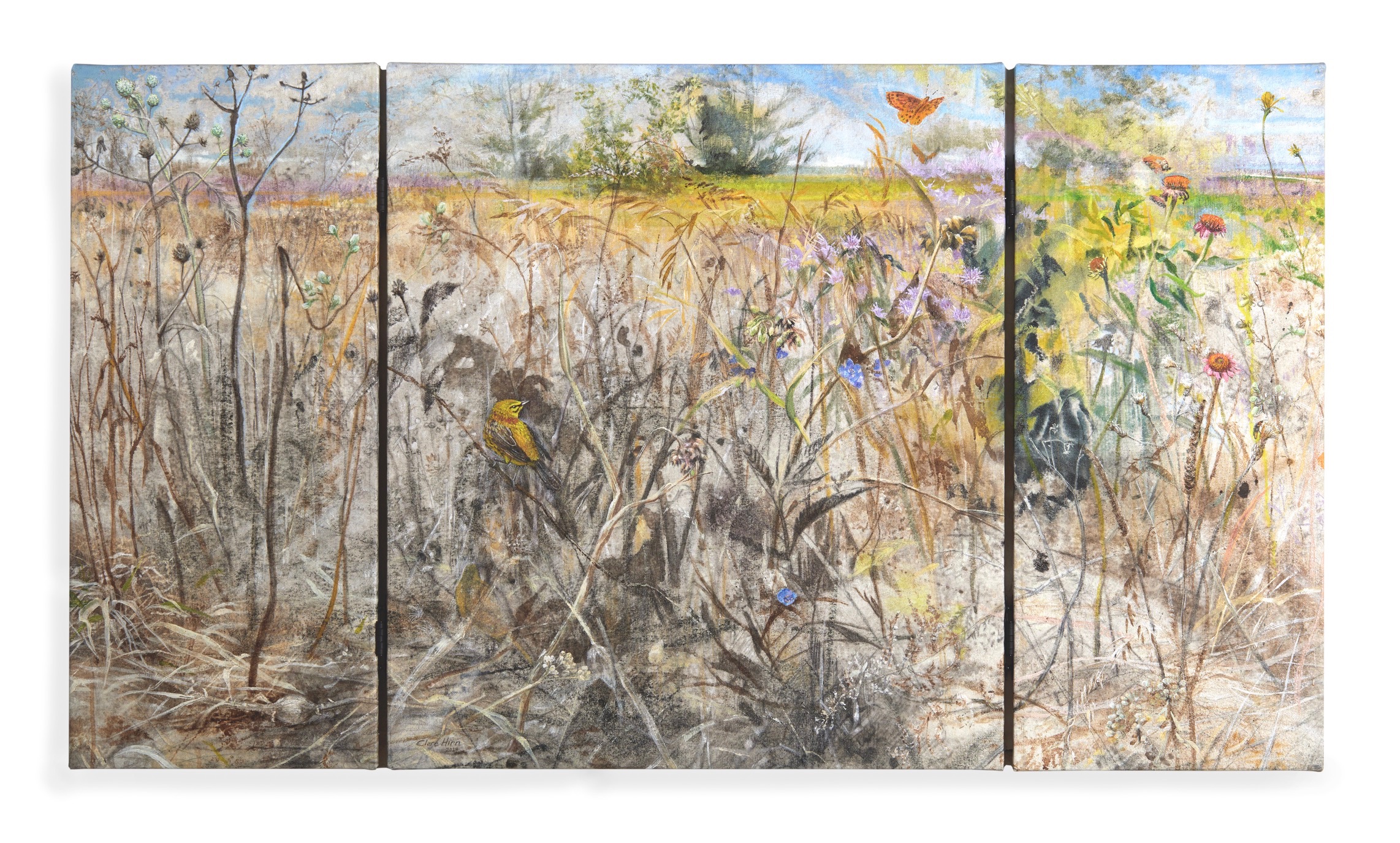 Summer Draws From Spring by Clare Hirn