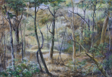 Woods