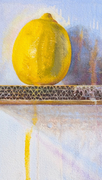 Are We All on a Cardboard Shelf or Just This Lemon by Clare Hirn